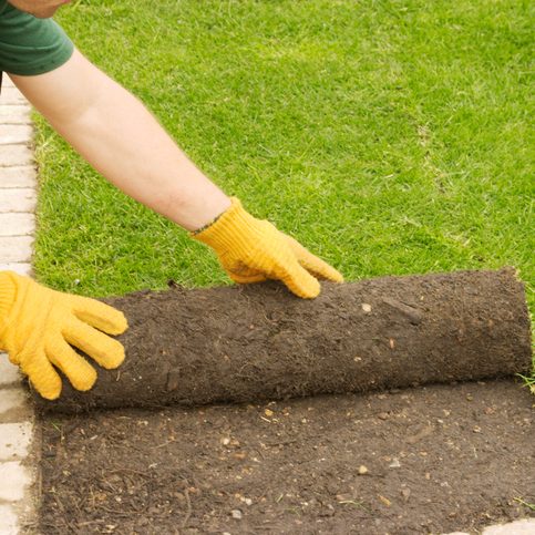 A new lawn being Laid